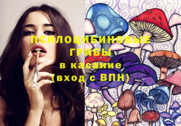 spice Россошь