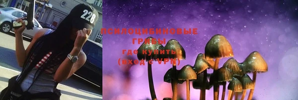 гашик Рославль