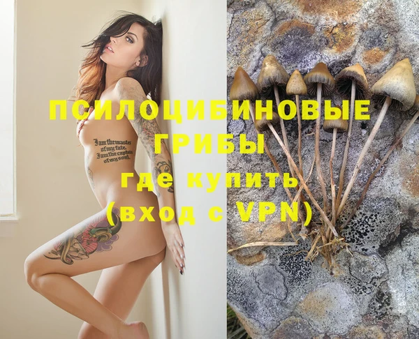мескалин Ростов