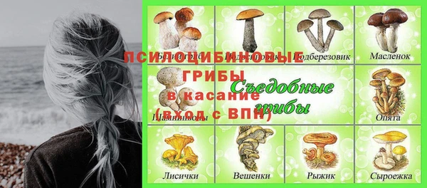 spice Россошь