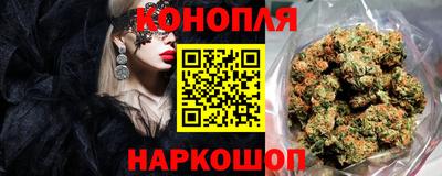 амф Дубна