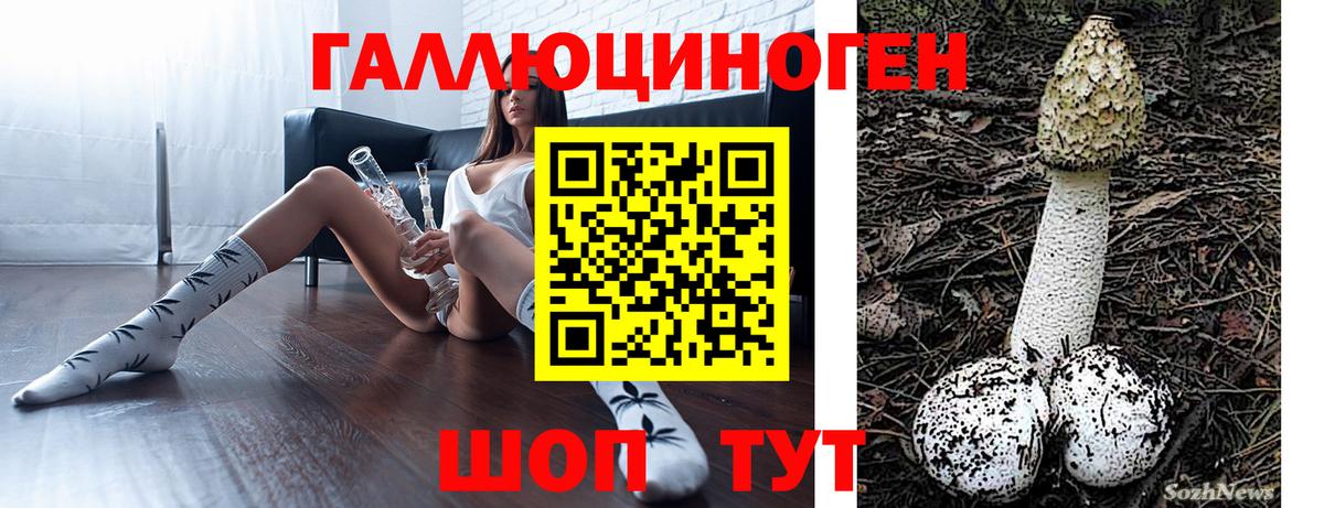 как найти наркотики  Галлюциногенные грибы GOLDEN TEACHER  Вход с VPN  Спасск-Дальний  Галлюциногенные грибы мицелий 